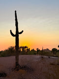 Desert Sundown